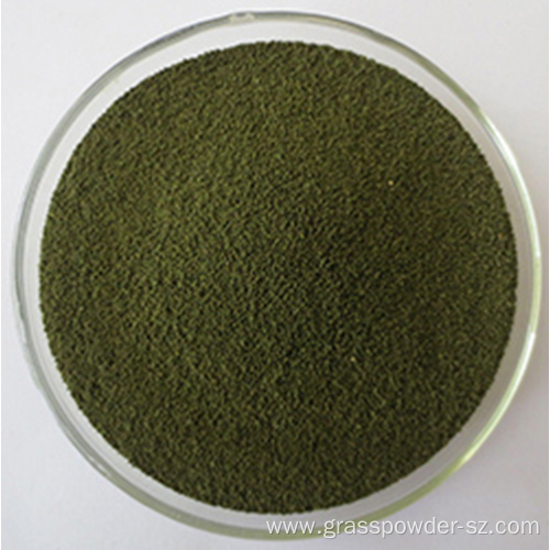Barley sprout green juice powder